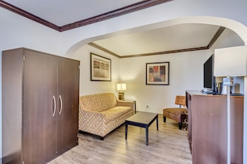 Executive Room, 1 King Bed with Sofa bed, Non Smoking