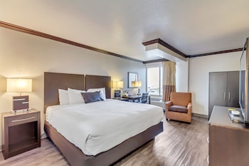 Room, 1 King Bed, Non Smoking