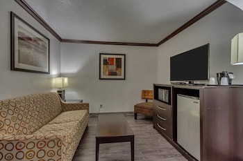 Executive Room, 1 King Bed with Sofa bed, Non Smoking