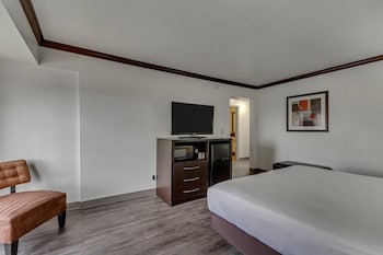 Studio Suite, 1 King Bed, Accessible, Non Smoking (Roll-in Shower)