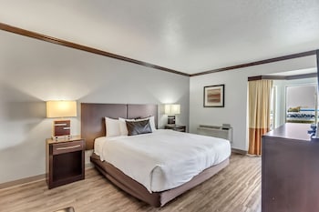 Room, 1 King Bed, Non Smoking