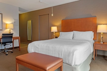 Standard Room, 1 Queen Bed, Accessible, Refrigerator