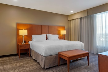 Executive Suite, 1 King Bed, Non Smoking, Refrigerator & Microwave (with Sofabed)