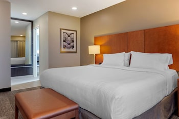 Executive Suite, 1 King Bed, Non Smoking, Refrigerator & Microwave (with Sofabed)