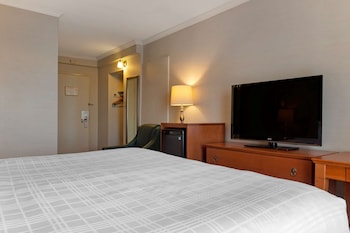 Standard Room, 1 King Bed, Non Smoking, Refrigerator