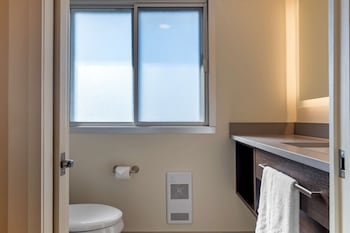 Executive Suite, 1 King Bed, Non Smoking, Refrigerator & Microwave (with Sofabed)