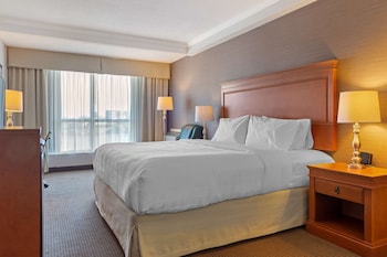 Standard Room, 1 King Bed, Refrigerator, River View