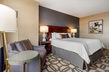 Premium Room, 1 King Bed (Luxury)