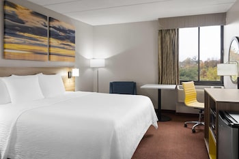 Room, 1 King Bed, Smoking