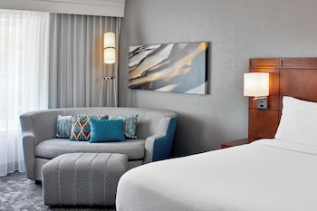 Room, 1 King Bed with Sofa bed