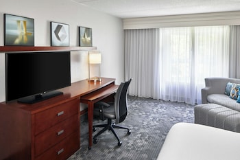 Room, 1 King Bed with Sofa bed
