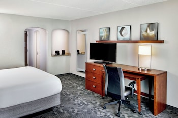 Room, 1 King Bed with Sofa bed