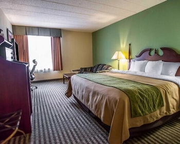 Standard Room, 1 King Bed, Non Smoking