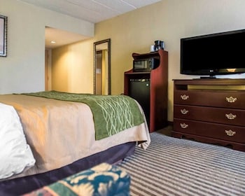 Standard Room, 1 King Bed, Non Smoking