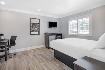 Room, 1 Queen Bed