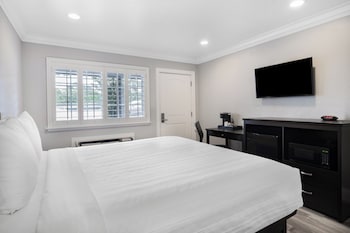 Basic Room, 1 King Bed