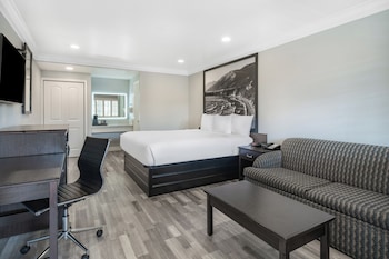 Junior Studio Suite, 1 King Bed sofabed not included