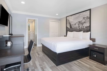 Basic Room, 1 King Bed