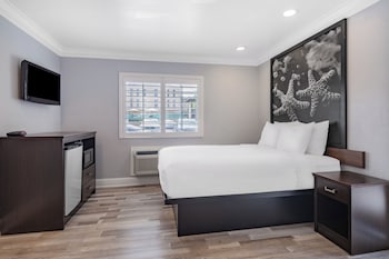 Room, 1 Queen Bed