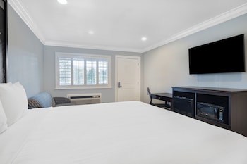 Junior Studio Suite, 1 King Bed sofabed not included
