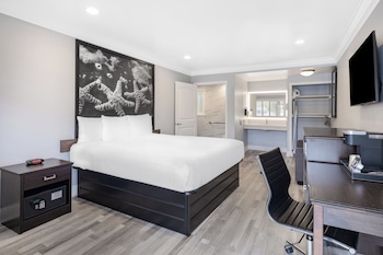 Basic Room, 1 King Bed, Accessible Bathtub, Sofabed not included