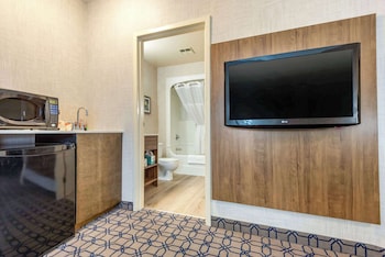 Suite, 1 King Bed, Non Smoking (Efficiency)