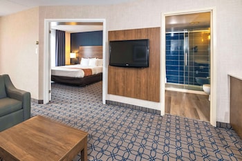 Suite, 1 King Bed, Non Smoking (Efficiency)