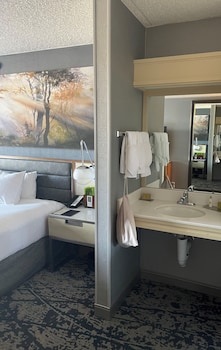Room, 1 Double Bed, Accessible (Hearing Access Roll in Shower)
