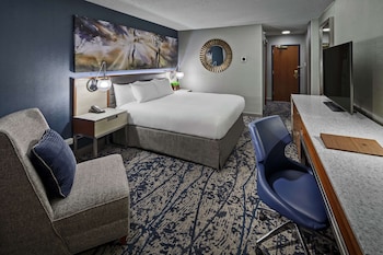 Room, 1 King Bed
