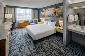 Room, 1 Double Bed, Accessible (Hearing Access Roll in Shower)