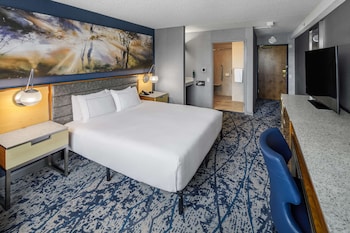 Room, 1 Double Bed, Accessible (Hearing Access Roll in Shower)