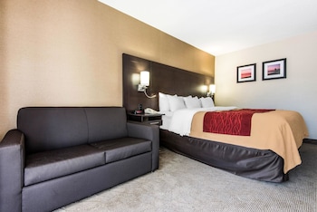 Standard Room, 1 King Bed, Non Smoking