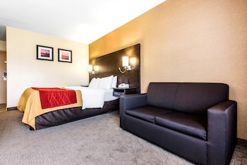 Comfort Care, Standard Room, 1 Queen Bed with Sofa bed, Non Smoking