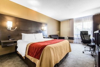 Comfort Care, Standard Room, 1 Queen Bed with Sofa bed, Non Smoking