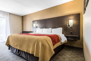 Standard Room, 1 King Bed, Non Smoking