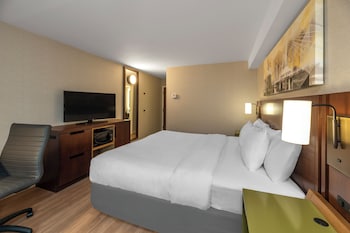 Room, 1 King Bed, Non Smoking