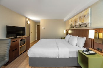 Room, 1 King Bed, Non Smoking