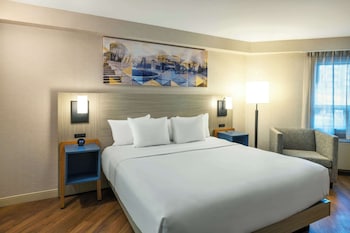 Room, 1 King Bed, Accessible, Non Smoking