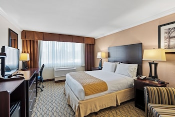 Standard Room, 1 Queen Bed, Roll-in Shower