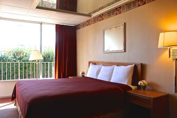 Standard Room, 1 King Bed, Refrigerator & Microwave