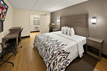 Standard Room, 1 Double Bed, Accessible (Smoke Free)