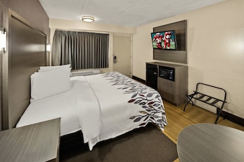Superior Room, 1 King Bed (Smoke Free)