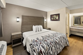 Standard Room, 1 King Bed (Smoke Free)