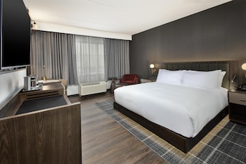 Room, 1 King Bed, Accessible (Roll-in Shower)