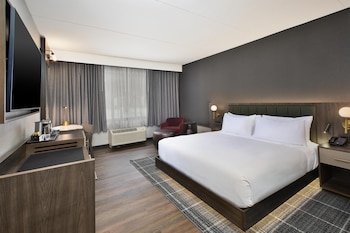 Room, 1 King Bed, Accessible (Roll-in Shower)