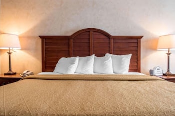 Standard Room, 1 Queen Bed, Non Smoking