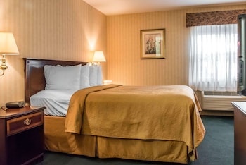 Standard Room, 1 Queen Bed, Non Smoking