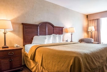 Standard Room, 1 King Bed, Non Smoking