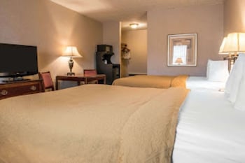 Standard Double Room, 2 Double Beds, Non Smoking