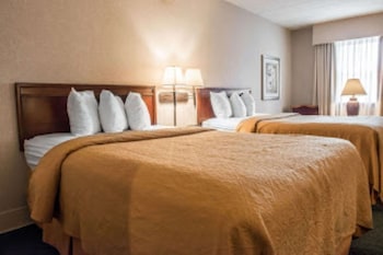 Standard Double Room, 2 Double Beds, Non Smoking